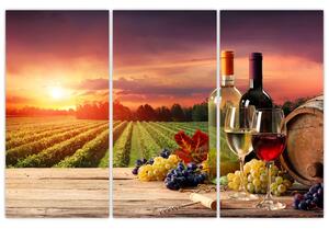 Obraz - víno a vinice pri západe slnka (Obraz 120x80cm)