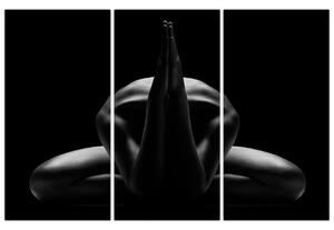 Obraz nahé ženy (Obraz 120x80cm)