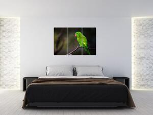 Obraz zeleného papagája (Obraz 120x80cm)