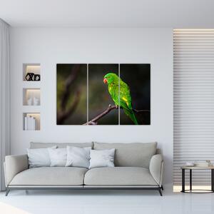 Obraz zeleného papagája (Obraz 120x80cm)