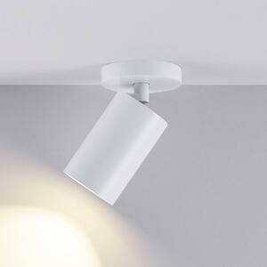 Deko-Light Stropné bodové svetlá CAN TILT, biele, Ø 8 cm, 1-pl. kov, GU10, Biela / opálová, Obývacia izba / jedáleň, Hliník, Stropné svetlo polkruhové s priestorom
