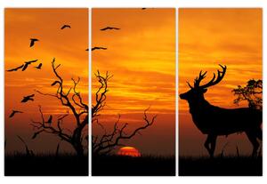 Obraz - jeleň na jesenné lúke (Obraz 120x80cm)