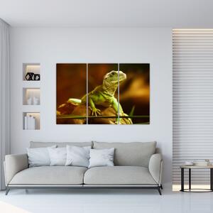 Obraz na stenu - zvieratá (Obraz 120x80cm)