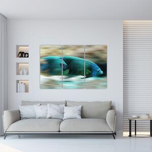 Obraz na stenu - ryby (Obraz 120x80cm)