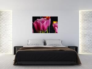 Tulipány - obrazy (Obraz 120x80cm)