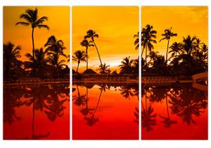 Obraz - tropická krajina (Obraz 120x80cm)