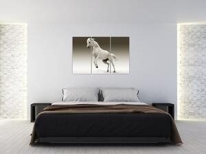 Obrazy bieleho koňa (Obraz 120x80cm)