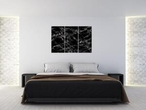 Čiernobiely mramor - obraz (Obraz 120x80cm)