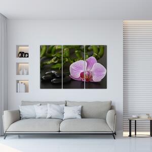 Moderný obraz kvetu (Obraz 120x80cm)