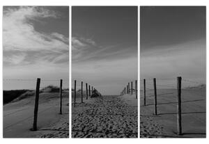 Obraz - cesta v piesku (Obraz 120x80cm)
