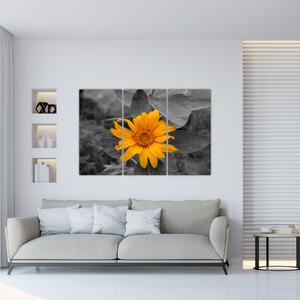 Obraz oranžového kvetu (Obraz 120x80cm)