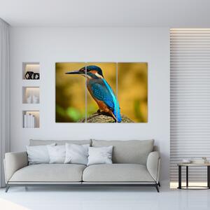 Obraz - farebný vták (Obraz 120x80cm)