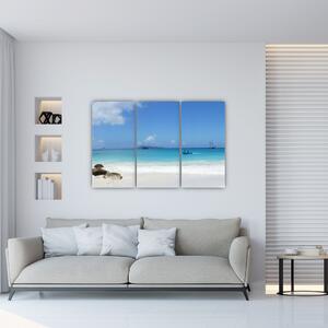Obraz - piesočná pláž (Obraz 120x80cm)