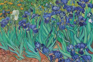 Plagát, Obraz - Vincent van Gogh - Les Irises