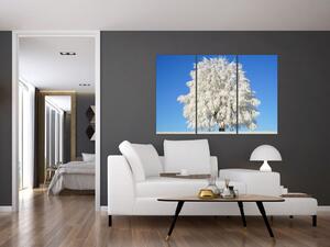 Zasnežený strom - obraz (Obraz 120x80cm)