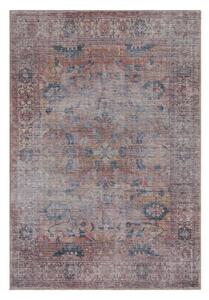 Koberec 170x120 cm Kaya - Asiatic Carpets