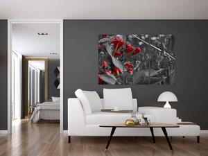 Červené kvety - moderné obrazy (Obraz 120x80cm)