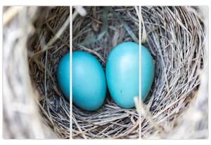 Obraz modrých vajíčok v hniezde (Obraz 120x80cm)