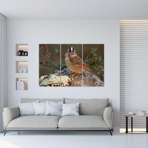 Obrazy zvierat (Obraz 120x80cm)