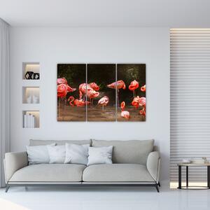 Obraz plameniakov (Obraz 120x80cm)