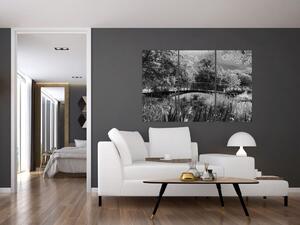 Čiernobiely most - obraz (Obraz 120x80cm)
