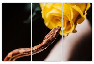Obraz hada so žltou ružou (Obraz 120x80cm)