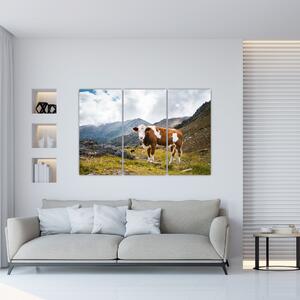 Obraz kravy na lúke (Obraz 120x80cm)