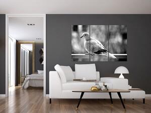 Čiernobiely obraz vtáka (Obraz 120x80cm)