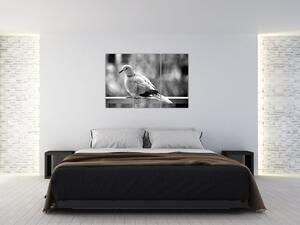 Čiernobiely obraz vtáka (Obraz 120x80cm)