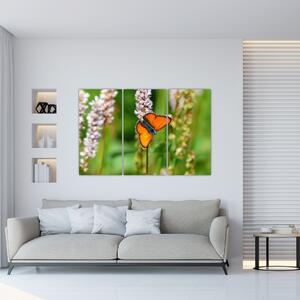 Moderný obraz motýľa na lúke (Obraz 120x80cm)