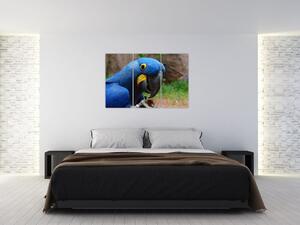 Obraz - papagáj (Obraz 120x80cm)