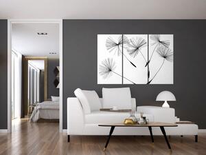 Čiernobiely obraz - páperie (Obraz 120x80cm)