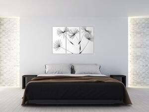 Čiernobiely obraz - páperie (Obraz 120x80cm)