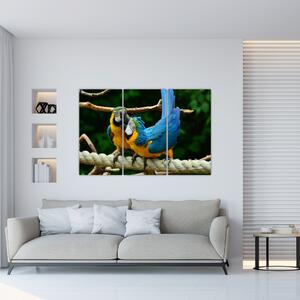 Obraz papagájov na lane (Obraz 120x80cm)