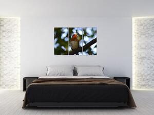 Obraz vtáka na vetve (Obraz 120x80cm)