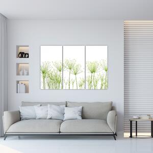 Obraz rastlín na bielom pozadí (Obraz 120x80cm)