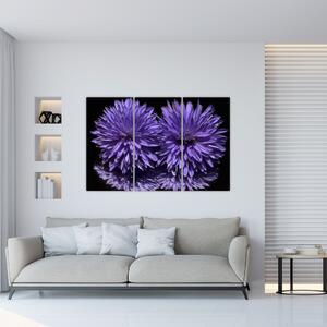 Obraz fialových kvetov (Obraz 120x80cm)
