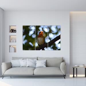 Obraz vtáka na vetve (Obraz 120x80cm)