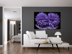 Obraz fialových kvetov (Obraz 120x80cm)