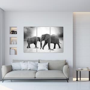 Obraz - slony (Obraz 120x80cm)
