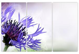 Obraz fialového kvetu (Obraz 120x80cm)