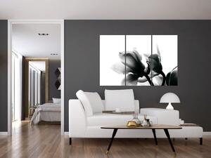 Obraz čiernobielych kvetov (Obraz 120x80cm)