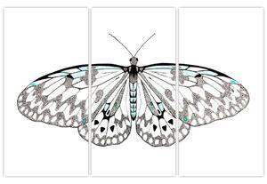 Čiernobiely motýľ (Obraz 120x80cm)