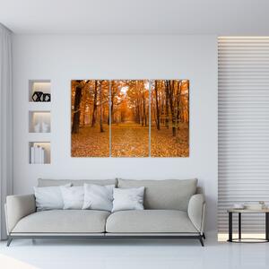 Obraz lesné cesty (Obraz 120x80cm)
