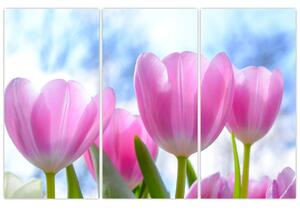 Obraz ružových tulipánov (Obraz 120x80cm)