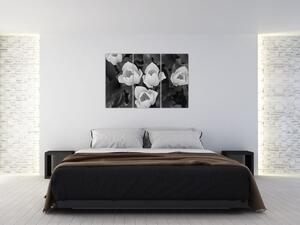 Čiernobiele kvety (Obraz 120x80cm)