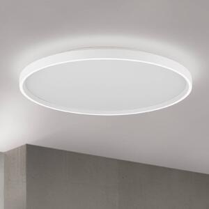 Stropné LED svetlo MASCA, biele, Ø 60 cm, kov, stmievateľné, Biela / opálová, Obývacia izba / jedáleň, Hliník, Moderný, Závesné svietidlo
