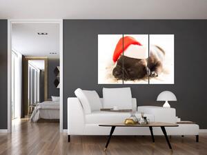 Obraz psa s čiapkou (Obraz 120x80cm)