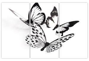 Obraz motýľov (Obraz 120x80cm)