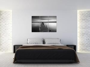 Čiernobiely obraz (Obraz 120x80cm)